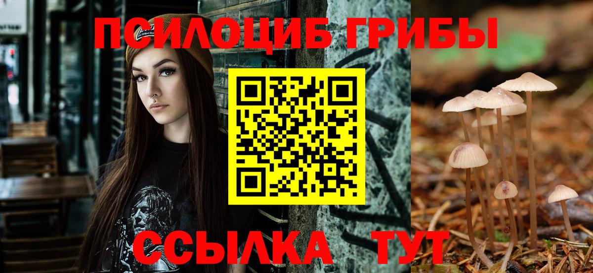 Псилоцибиновые грибы мицелий  Вход с VPN  Нефтеюганск 